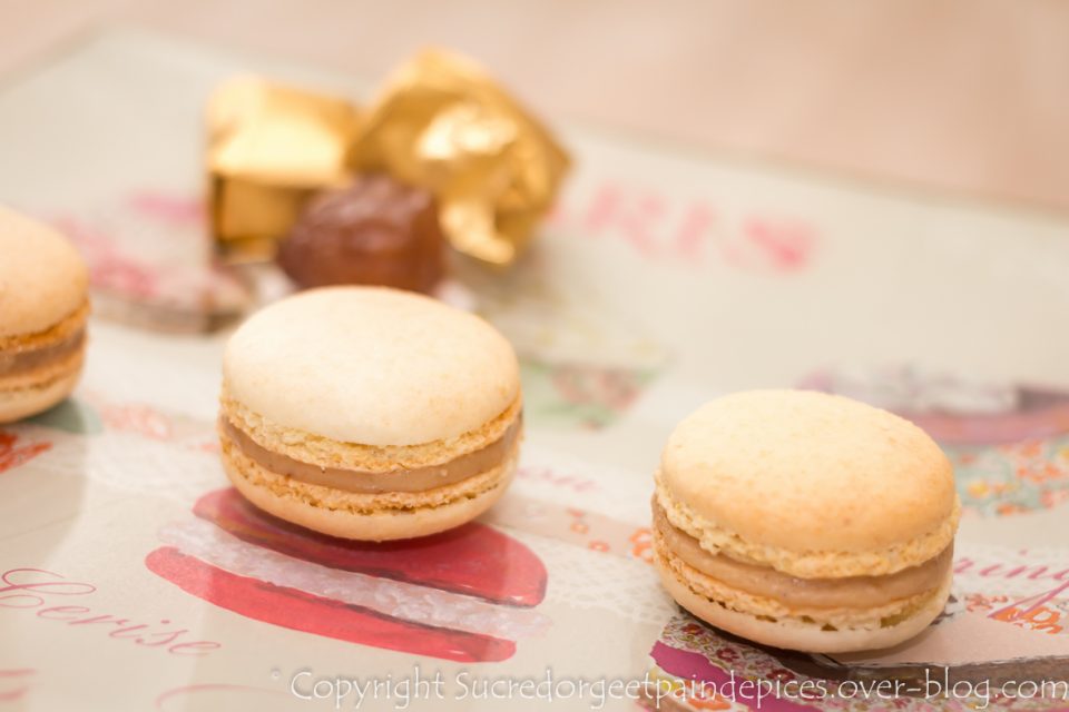 13 – 2013-décembre-17-73-32